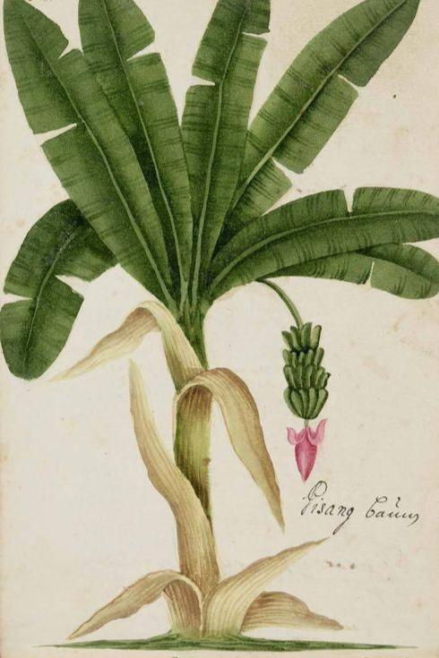 Singapore green tree mug