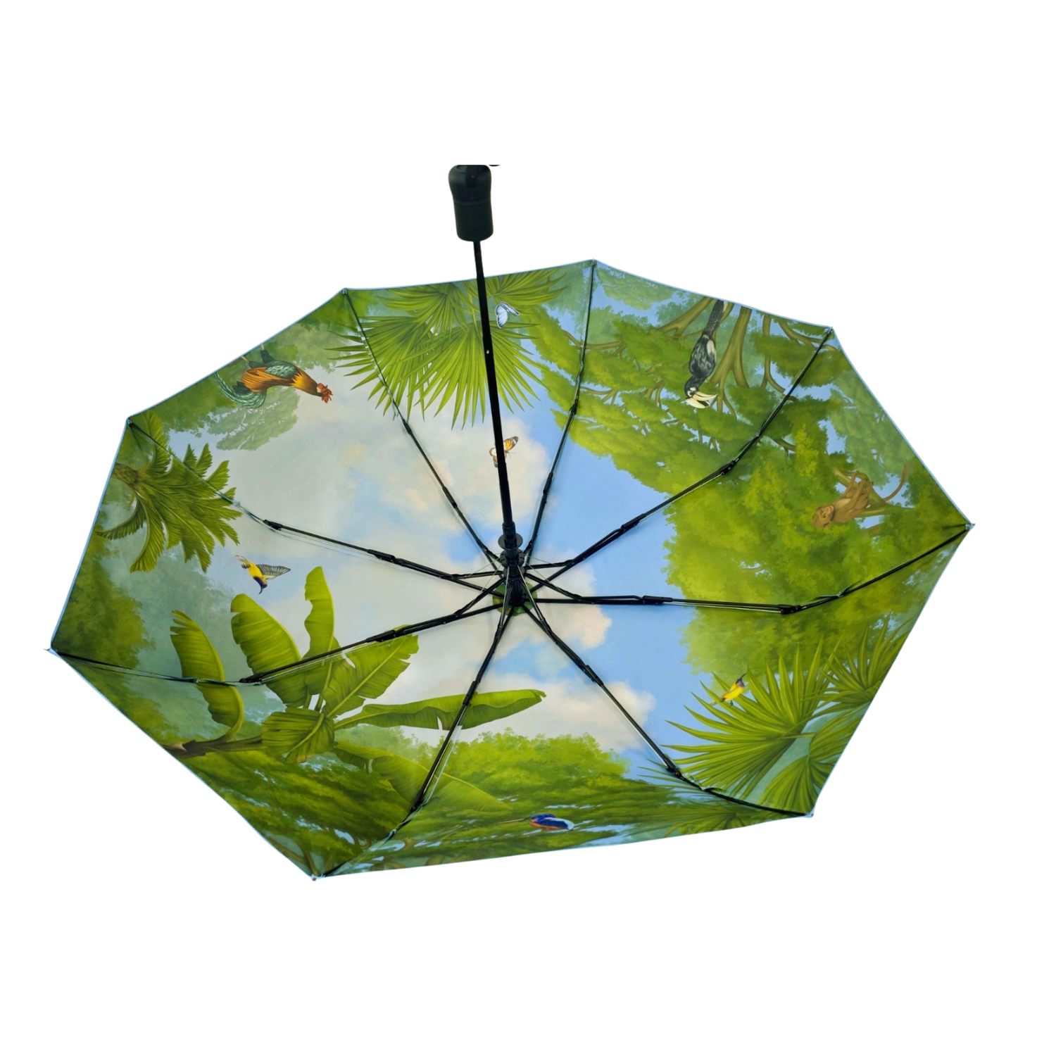 Singapore Jungle Umbrella – Blue Sky Edition