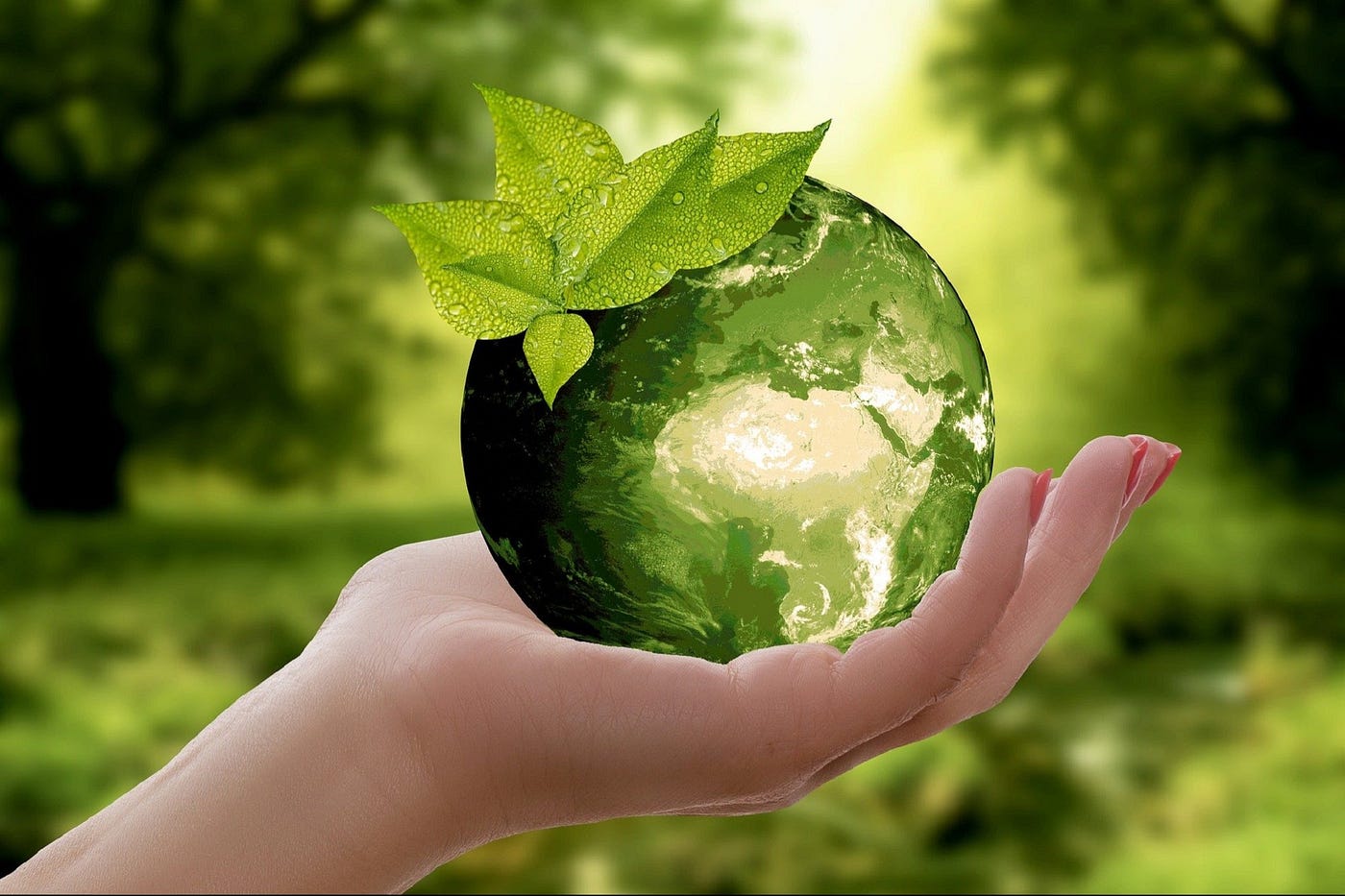 What it means to be a certified B corp in 2025 and why it matters for buyers
