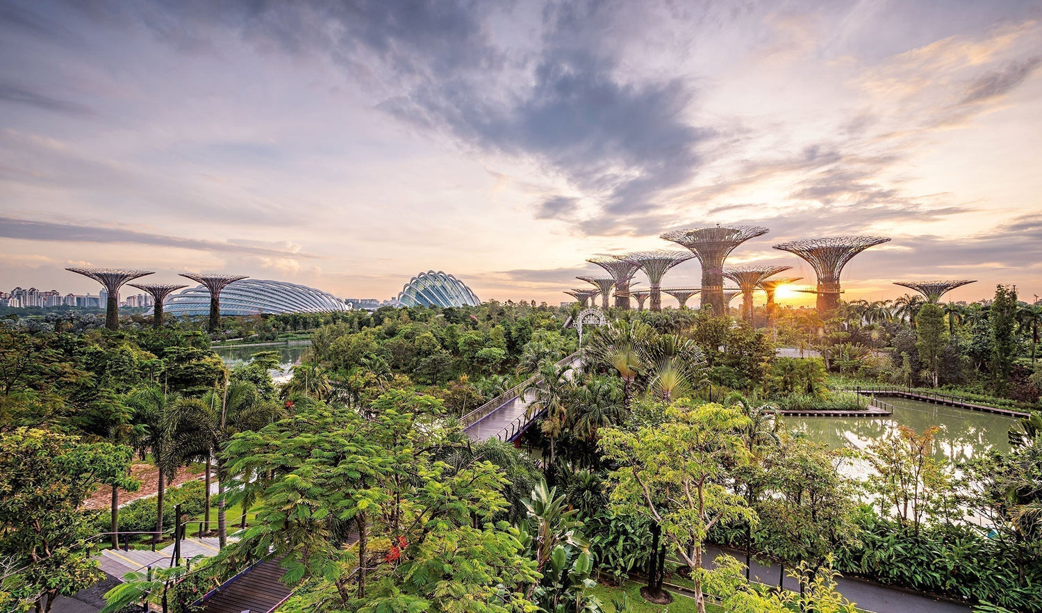 National parks botanists on Singapore's natural future