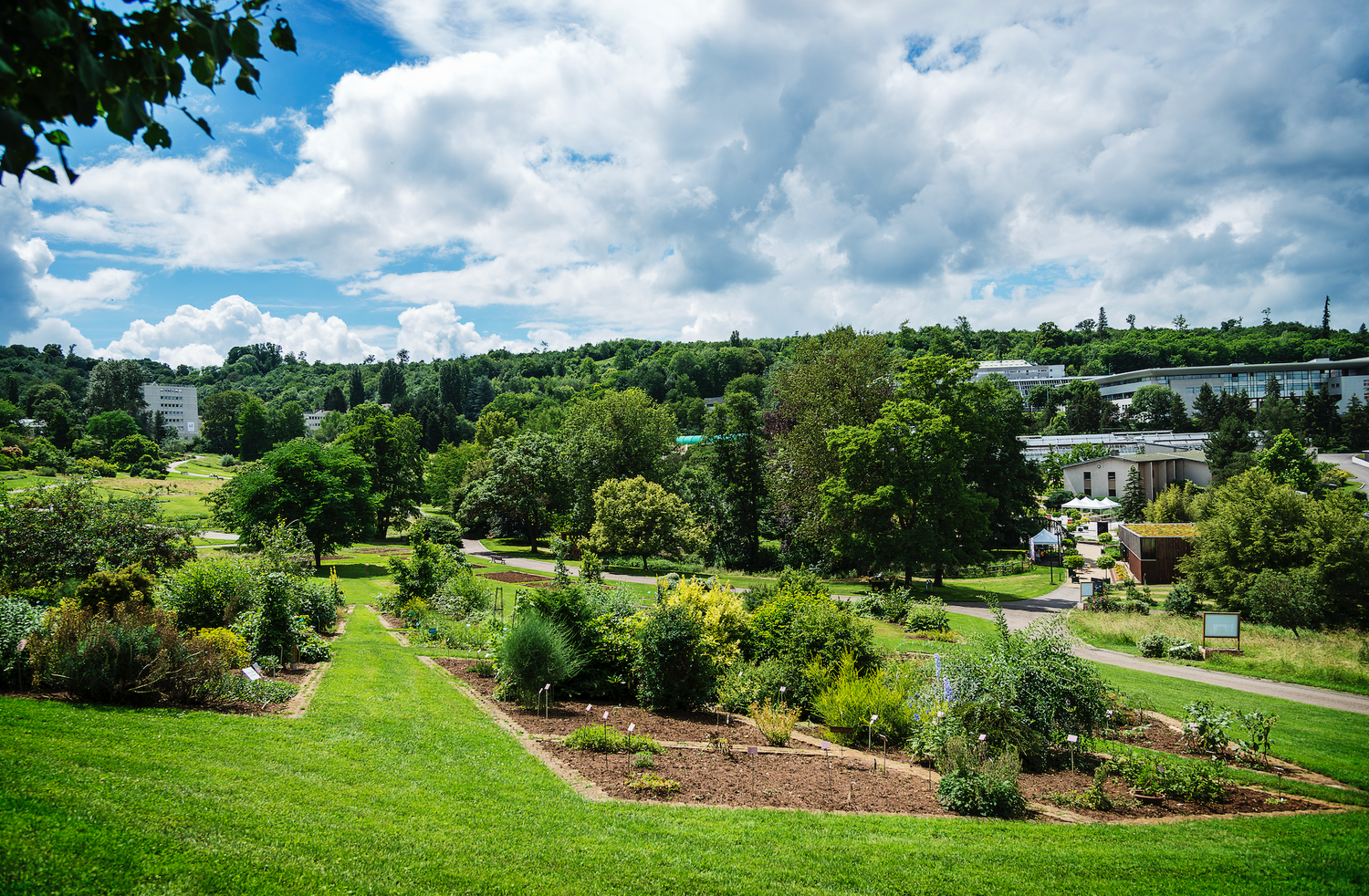 Voices of the Garden: Jardin Botanique Jean-Marie Pelt