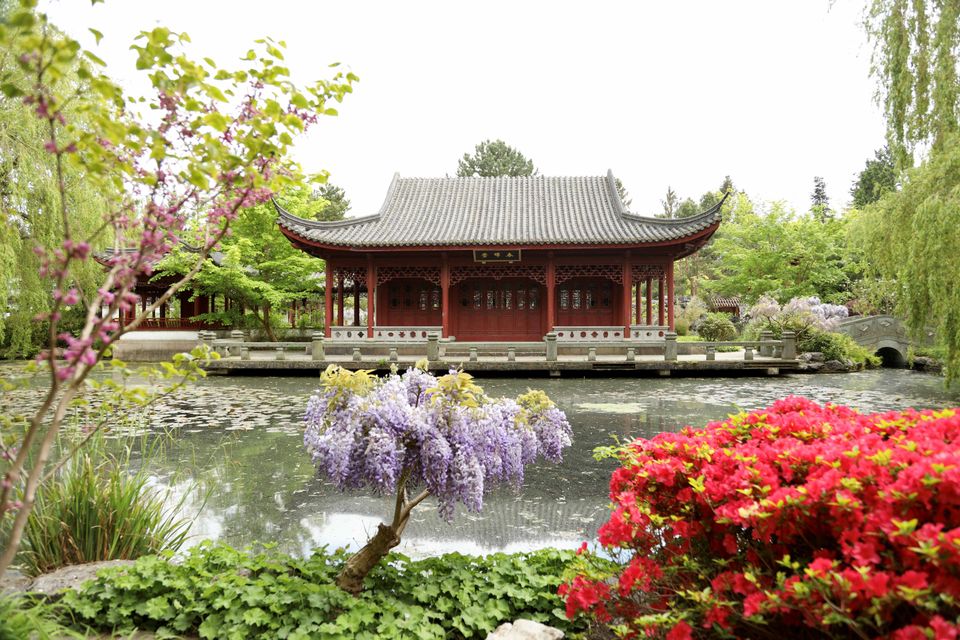 Voices of the Garden: Hortus Botanicus Haren: a garden that thinks in many languages