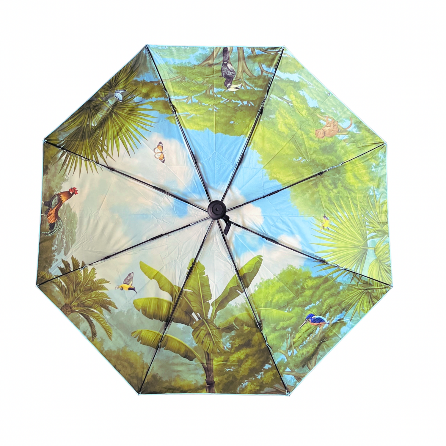 Singapore Jungle Umbrella – Blue Sky Edition