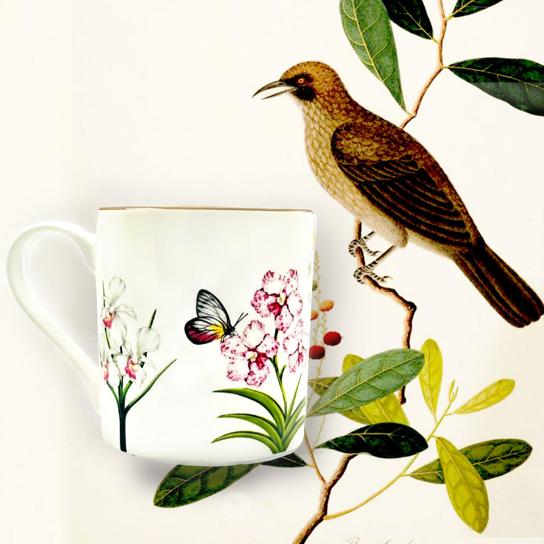 Singapore pink orchid mug