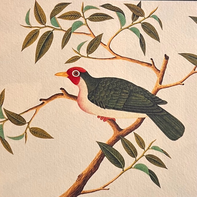 Singapore gold bird mug